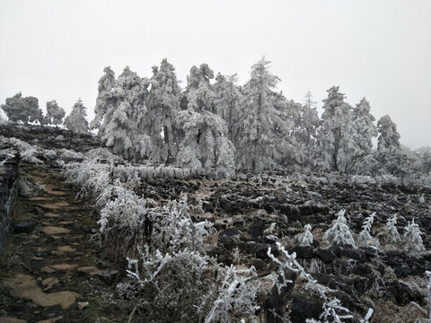 菌子山冰雪 霧凇