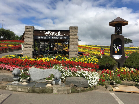北海道美瑛
