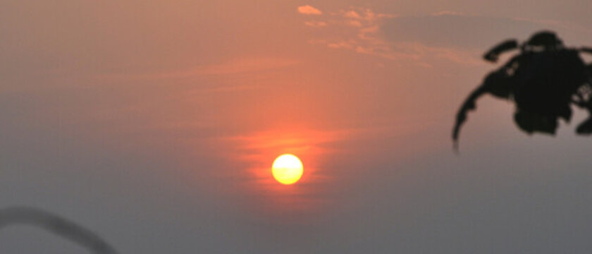 夕陽紅