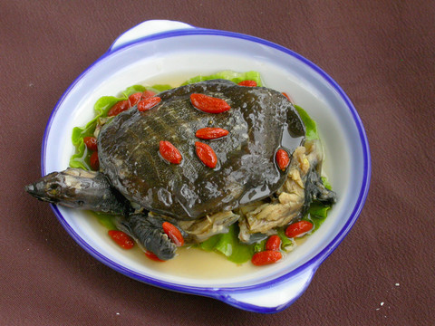 枸杞甲魚 蒸甲魚