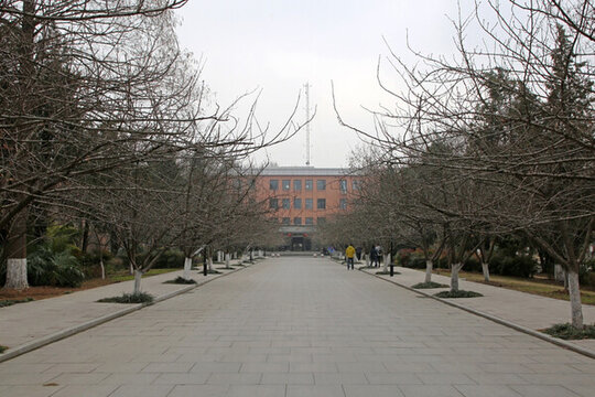 中國科技大學 校園 教學樓