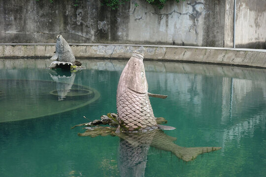 石魚(yú)