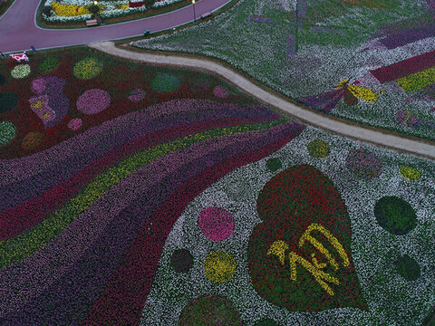 航拍郁金香花海五彩旋律