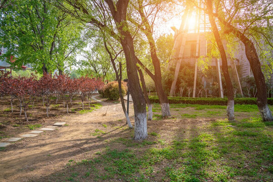 公園景觀