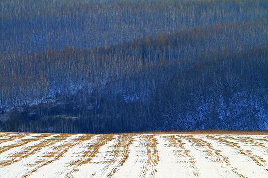 山林 農(nóng)田雪景