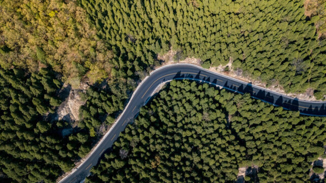 航拍森林公路