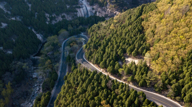 航拍森林公路