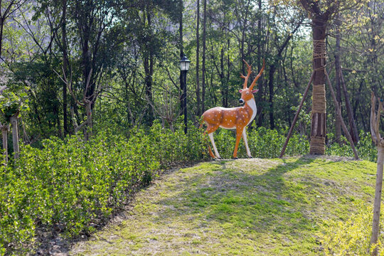 市政公園