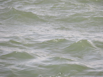 水波紋