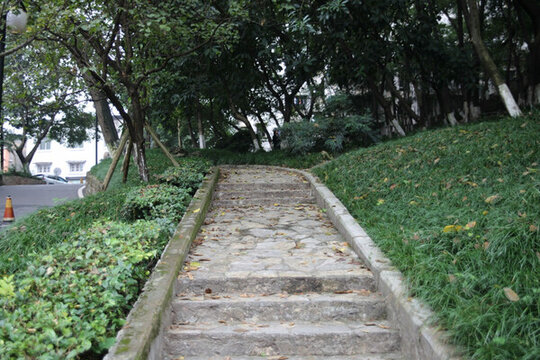 四川美術學院老校區(qū) 黃桷坪