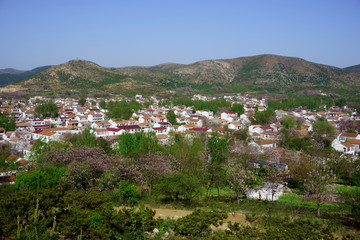 美麗的鄉(xiāng)村風(fēng)景 新農(nóng)村建設(shè)