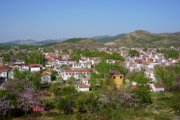 美麗的鄉(xiāng)村風(fēng)景 新農(nóng)村建設(shè)