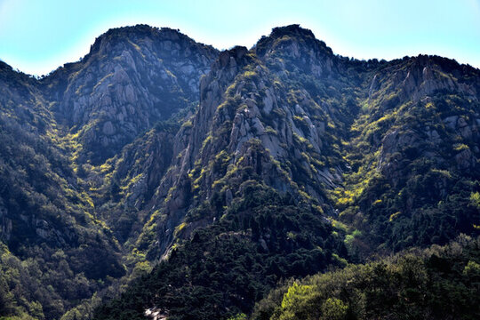 山谷春色