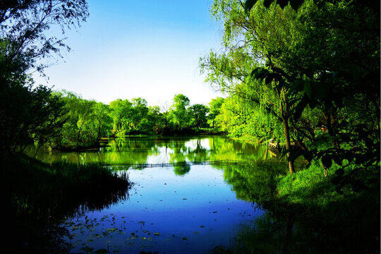湖景
