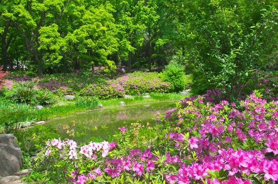 初春森林公園園林景觀