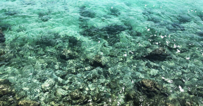 海水 背景