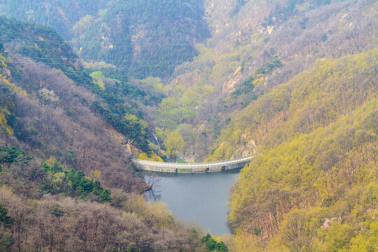 泰山 黑龍?zhí)端畮?kù)