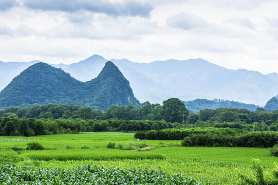 田園風(fēng)光