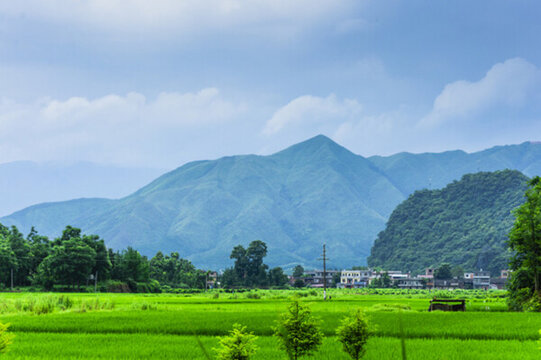 田園春色