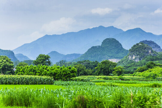田園風(fēng)光