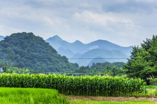 田園風(fēng)光