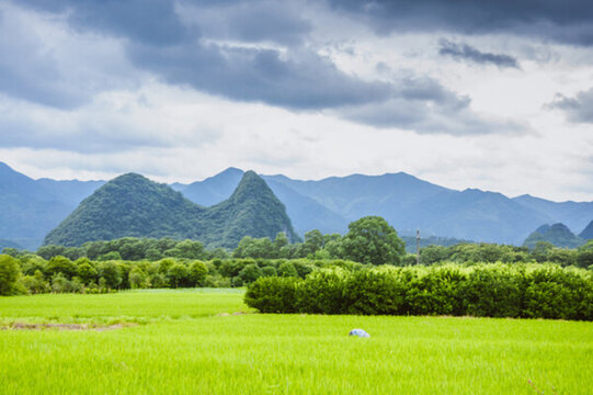 田園風(fēng)光