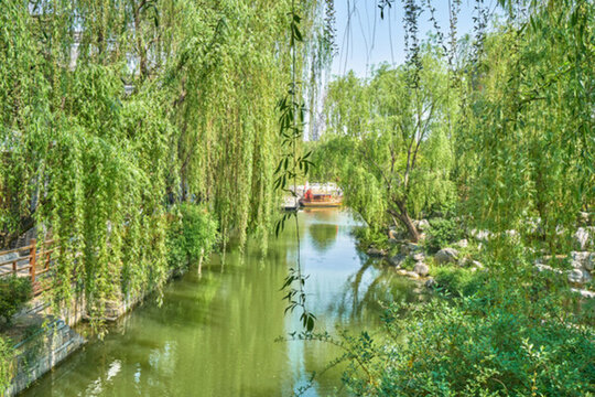 綠樹河道