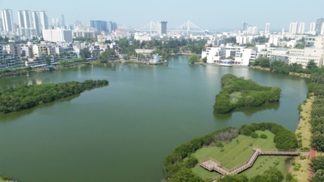 湖光景色東坡湖鳥瞰