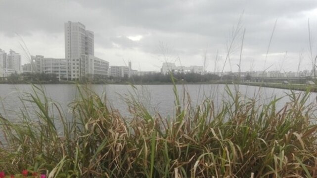 濱水建筑