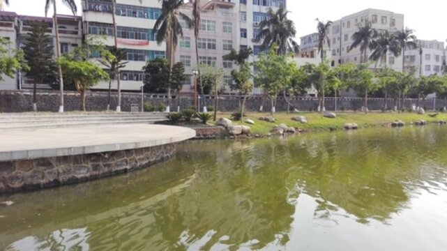 濱水景觀
