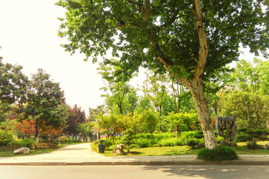 街邊公園