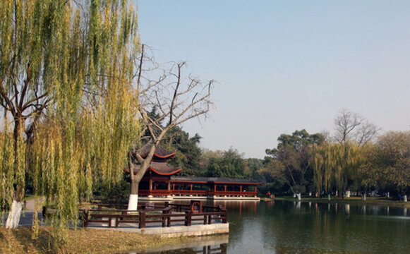 橘子洲頭