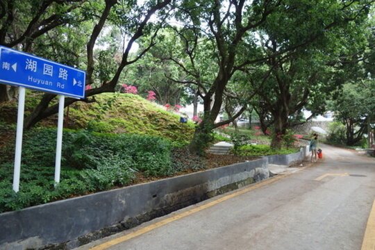 官湖小學(xué)路