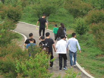 游園小路游人