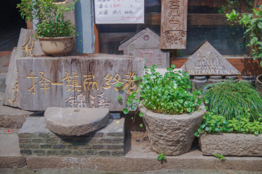 花草景觀