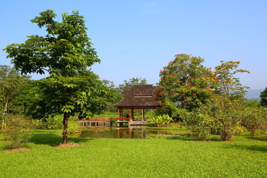 中國科學(xué)院西雙版納熱帶植物園