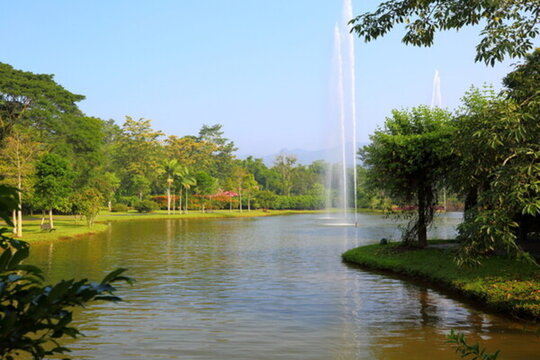 中國科學(xué)院西雙版納熱帶植物園