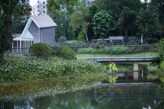 香蜜公園