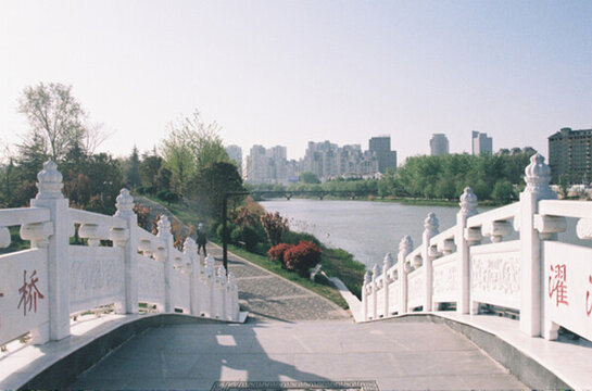 城市公園