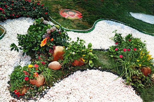 花草   園林