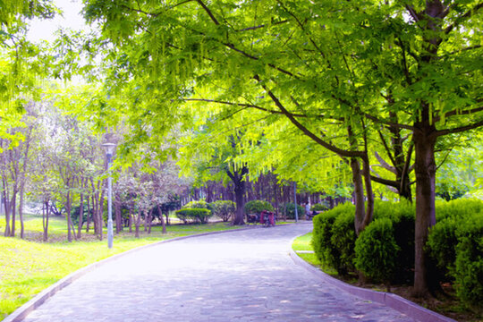 城市園林