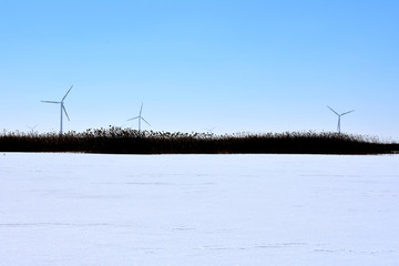 雪后蘆葦蕩 風(fēng)電