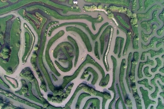 鹽城大縱湖迷宮