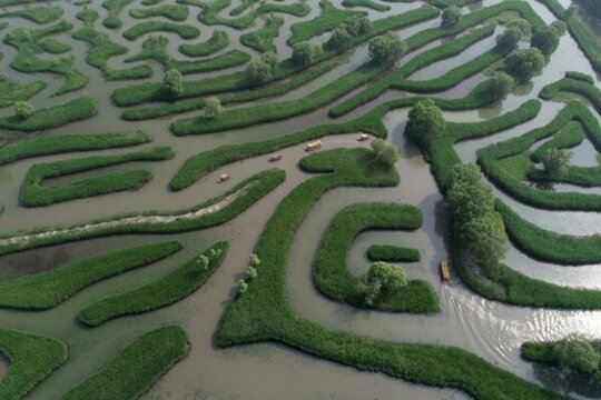 鹽城大縱湖迷宮