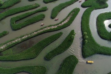 鹽城大縱湖迷宮