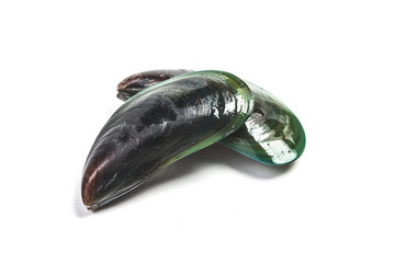 貽貝 青口貝