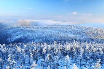 林海雪原 山林霧凇