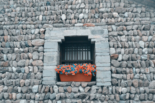窗臺(tái)鮮花