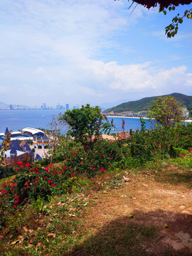 珍珠島美景
