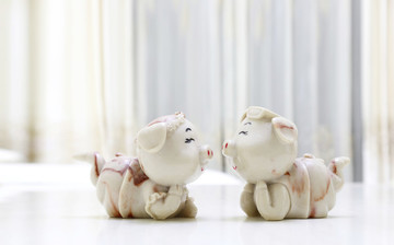 一對可愛小豬 愛情
